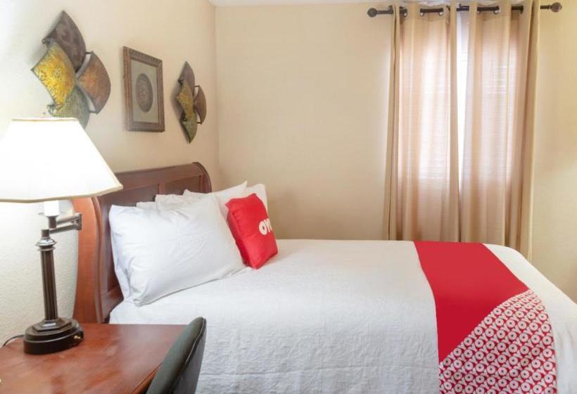 בית מלון כפרי Single Tree Inn