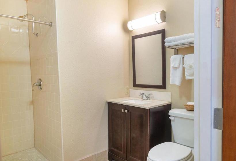 בית מלון כפרי Single Tree Inn