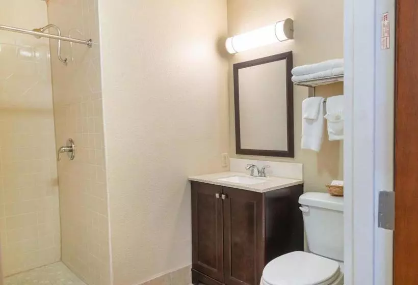 هتل Single Tree Inn