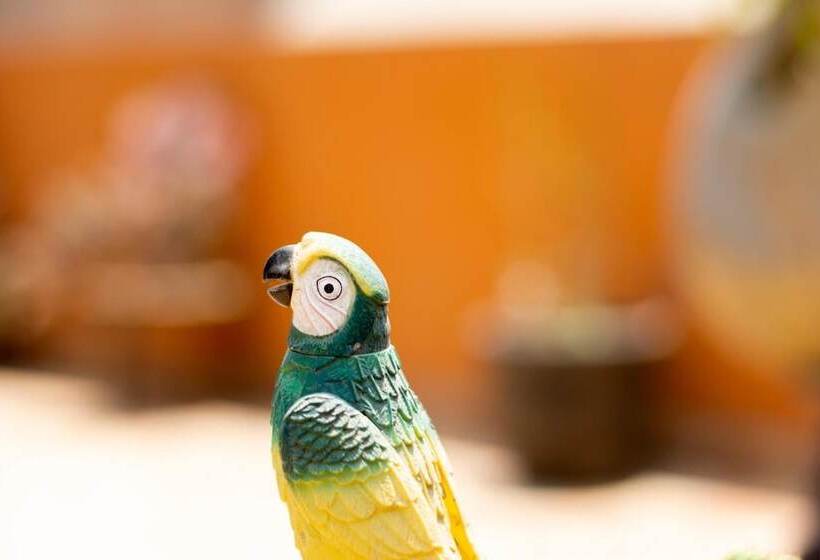 تختخواب و صبحانه Lima Airport Tampu