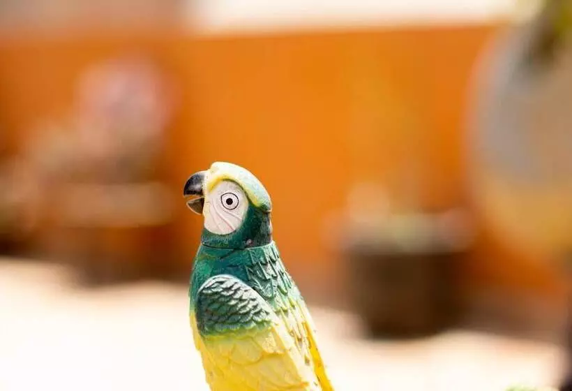 تختخواب و صبحانه Lima Airport Tampu