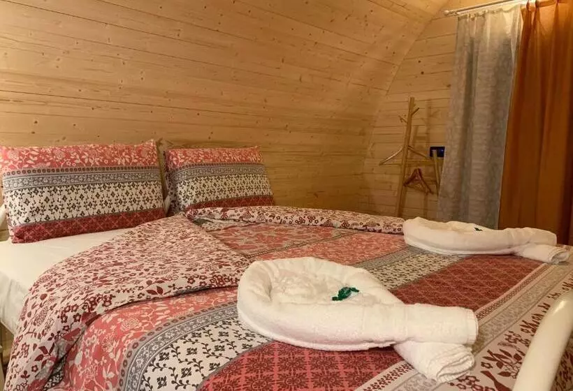Piccadilly B&b
