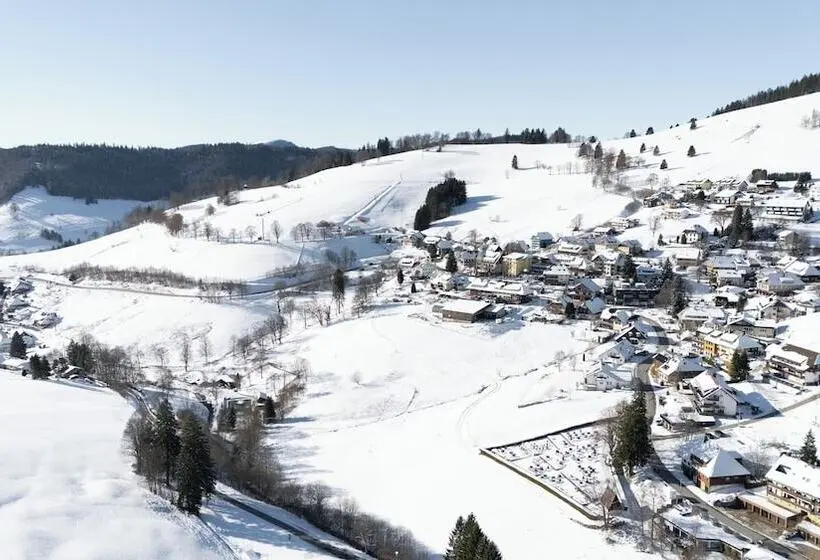 Bergvital Hotel Todtnau