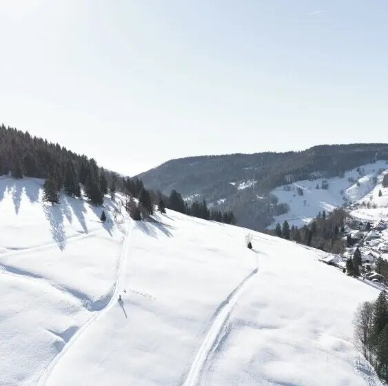 Bergvital Hotel Todtnau
