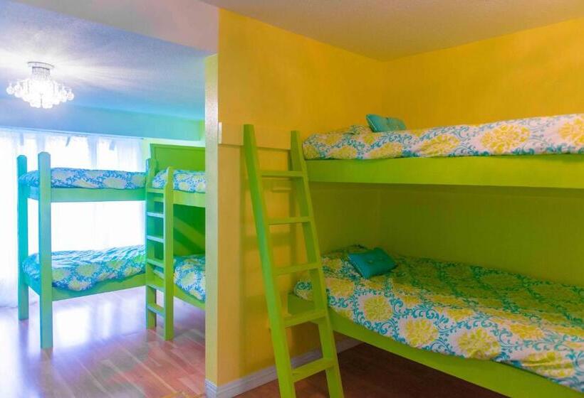 The Big Island Hostel