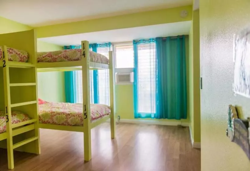 The Big Island Hostel