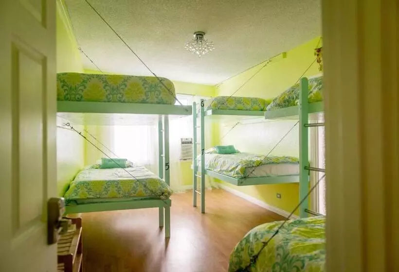 The Big Island Hostel