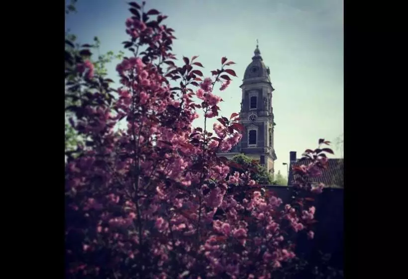 Aamiaismajoitus (B&B) Pastorie Caeneghem