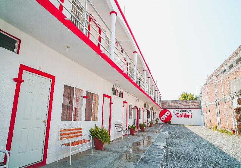 Panzió Hospedaje Colibrí