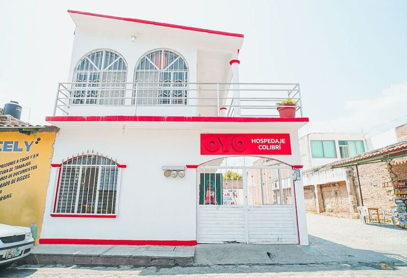 Panzió Hospedaje Colibrí