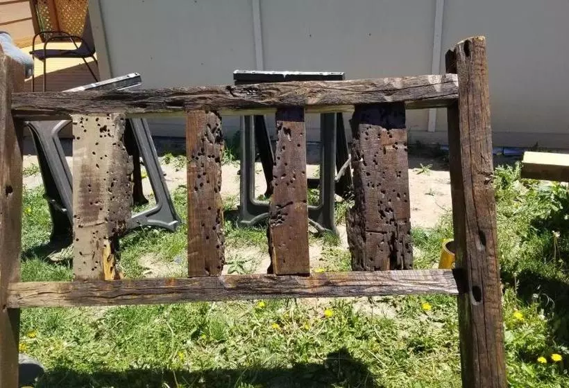 Aamiaismajoitus (B&B) Copperline Lodge