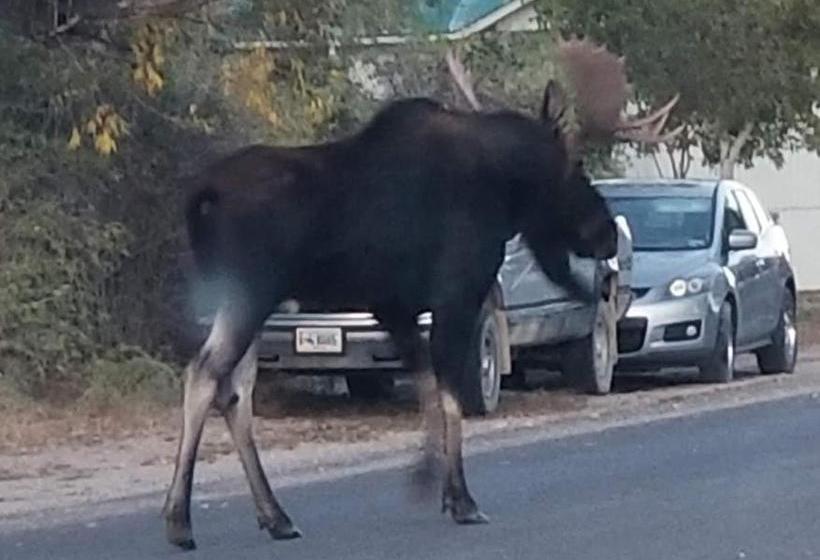 민박 Copperline Lodge