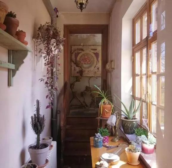 Aamiaismajoitus (B&B) Het Domherenhuis