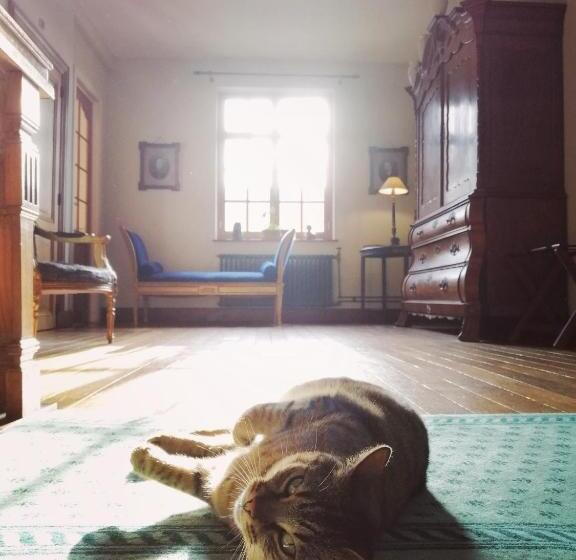 Bed and Breakfast Het Domherenhuis