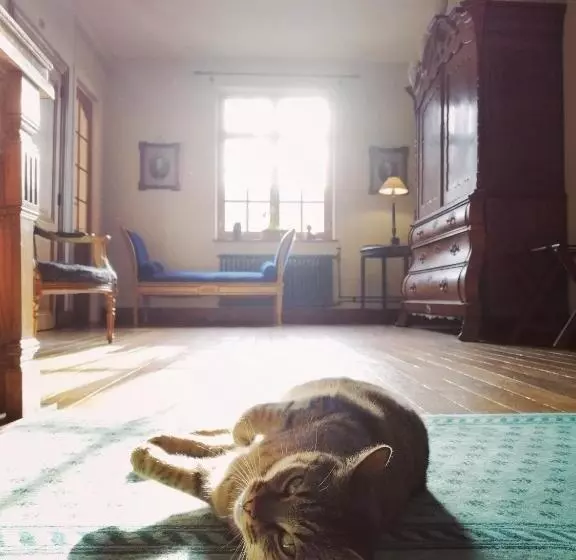 Aamiaismajoitus (B&B) Het Domherenhuis