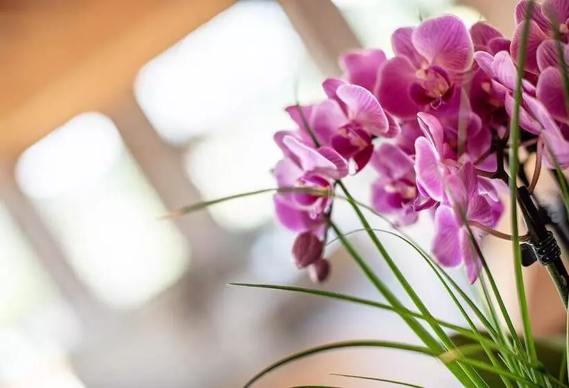 Gotthard   Fine Living Apartments