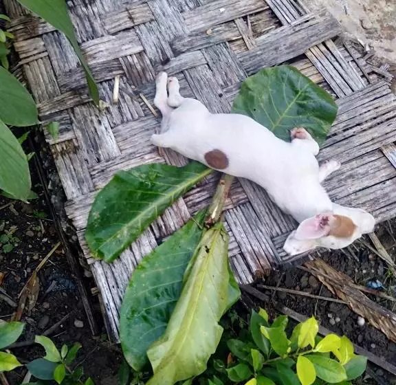 Retkeilymaja Bike&bed