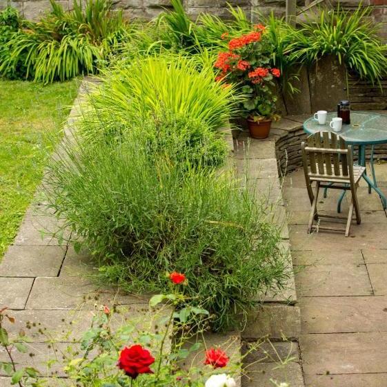 Bed and Breakfast The Bridge Hay