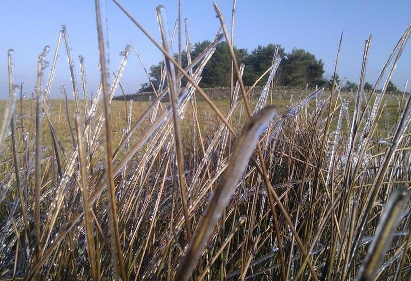 Bed and Breakfast The Bridge Hay