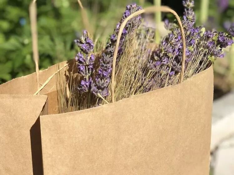 هتل Aliya Konak   Köy Evi Ve Lezzetleri