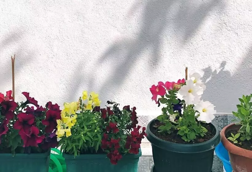 هتل Aliya Konak   Köy Evi Ve Lezzetleri