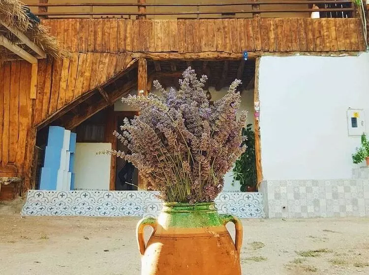 هتل Aliya Konak   Köy Evi Ve Lezzetleri