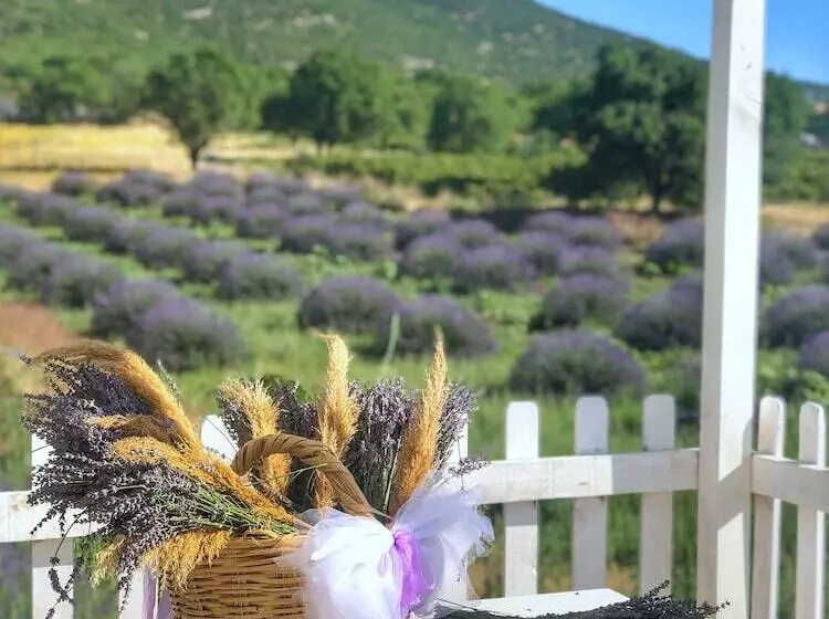 هتل Aliya Konak   Köy Evi Ve Lezzetleri