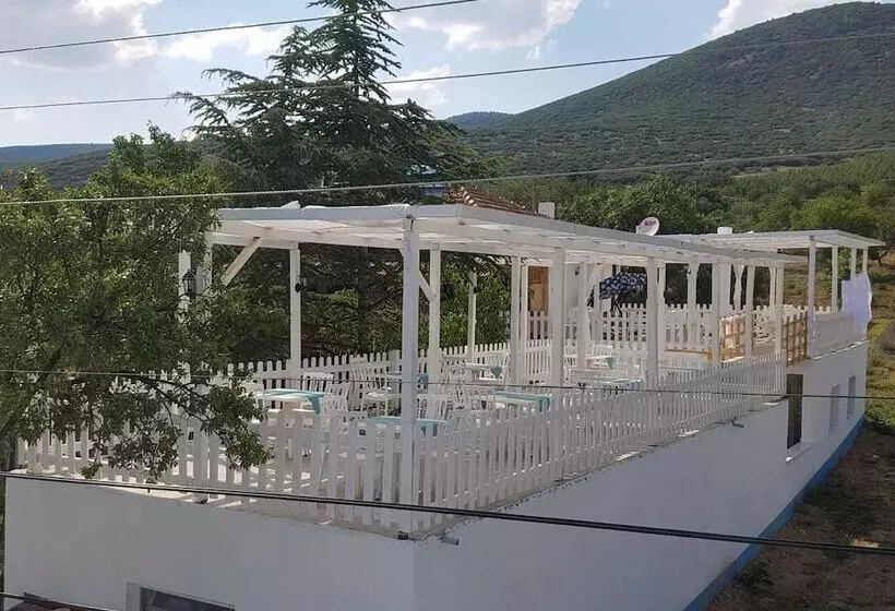 ホテル Aliya Konak   Köy Evi Ve Lezzetleri