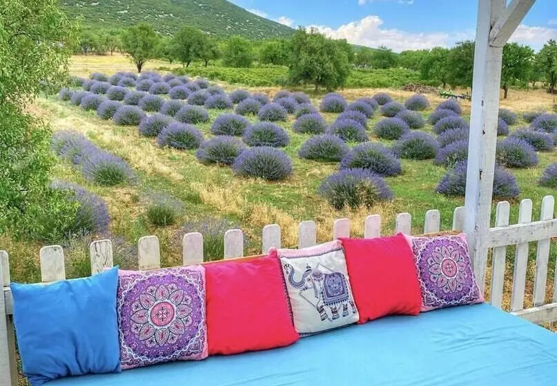 ホテル Aliya Konak   Köy Evi Ve Lezzetleri