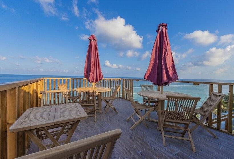 هتل Coral Grand Beach & Spa