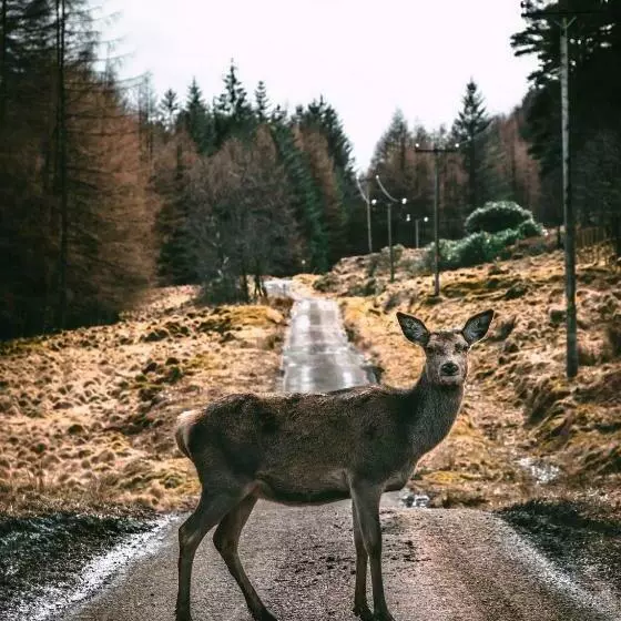Hotelli Pod Kapličkou