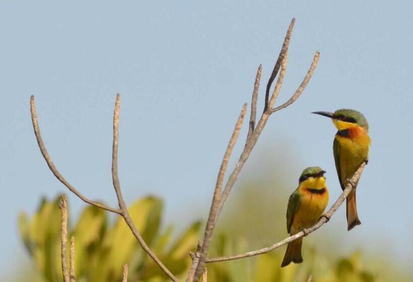 Hotel Les Manguiers De Guéréo
