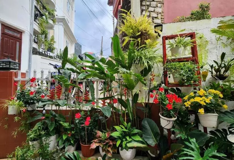 Bình đào Hotel   Khách Sạn Ngay Trung Tâm Giá Rẻ