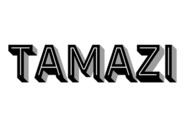 پانسیون Tamazi