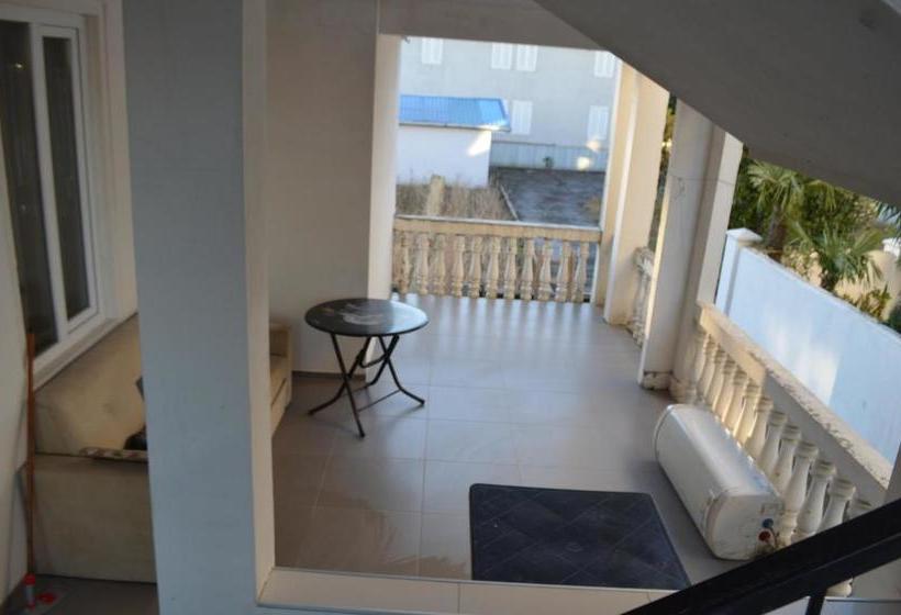 پانسیون Tamazi