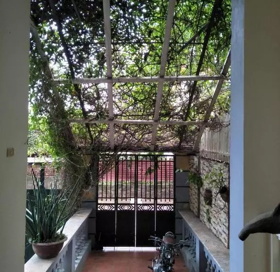 پانسیون Green Homestay