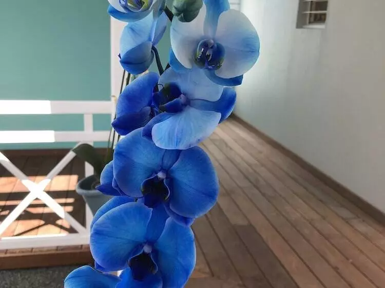 هتل Hôtel La Christophine