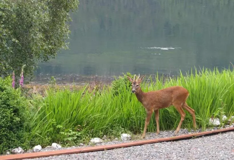 ペンション Lochwood Guest House