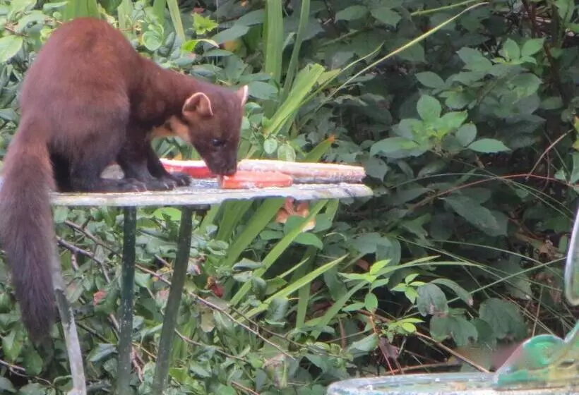 ペンション Lochwood Guest House