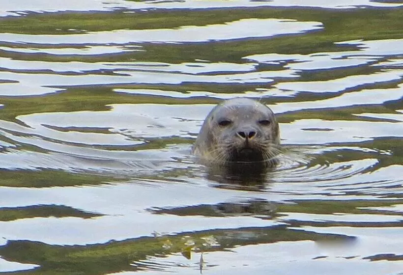 ペンション Lochwood Guest House