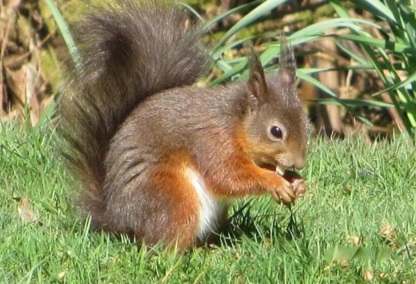 ペンション Lochwood Guest House