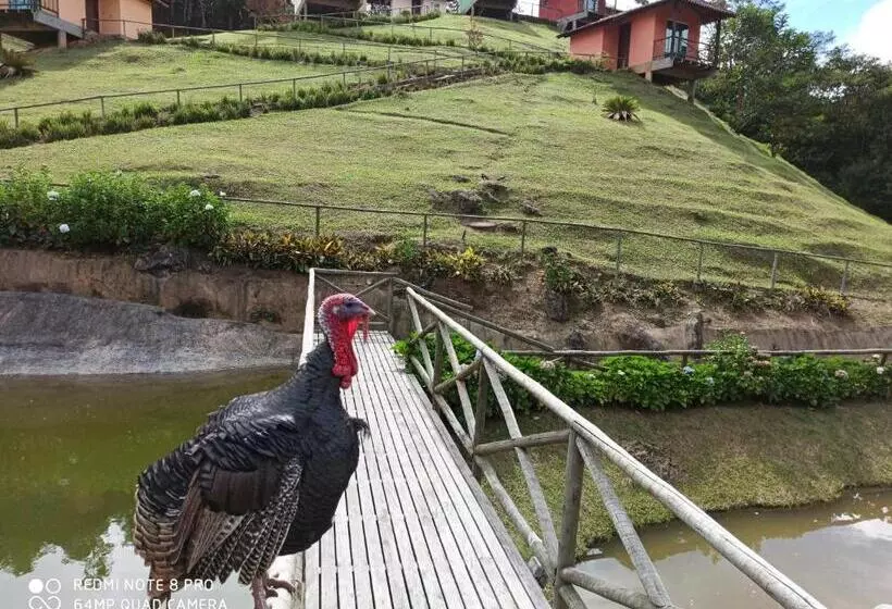 ペンション Pousada Espaço Da Onça