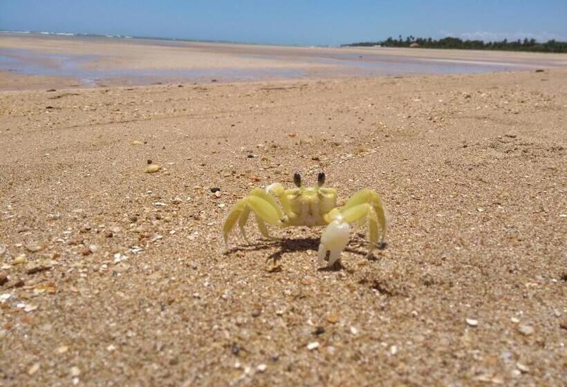 פנסיון Pousada Refúgio Dos Milagres
