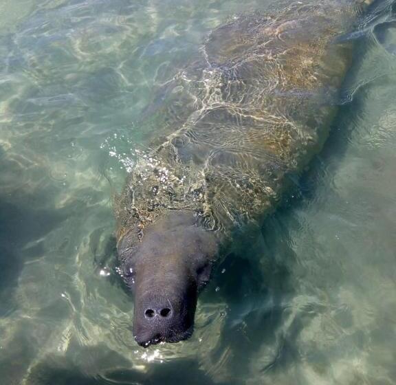 פנסיון Pousada Refúgio Dos Milagres
