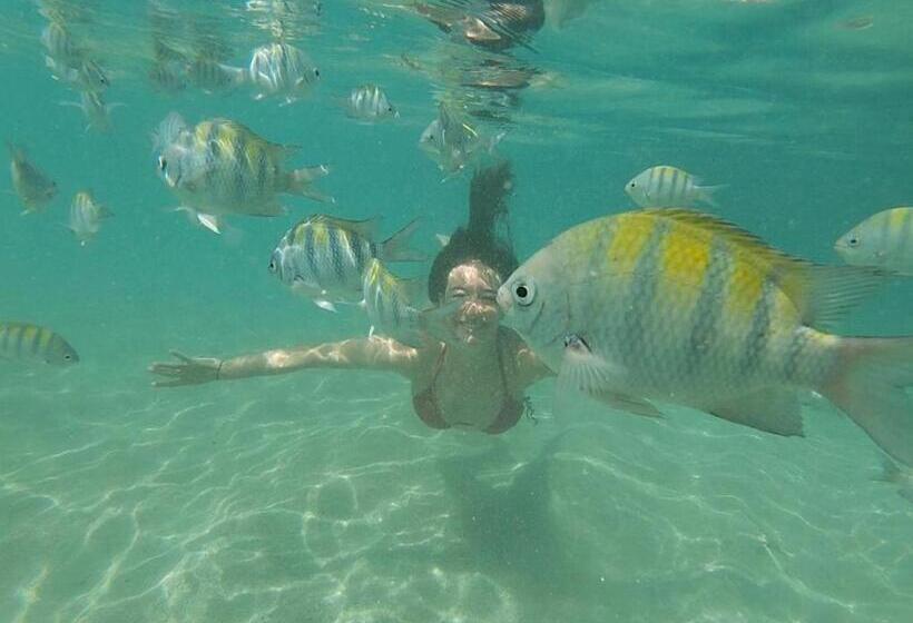 פנסיון Pousada Refúgio Dos Milagres