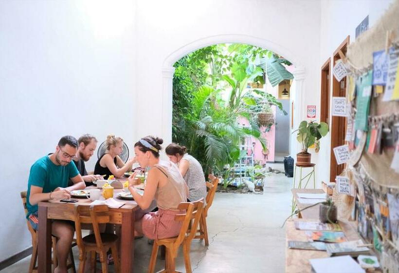 ユースホステル Casa Tunido