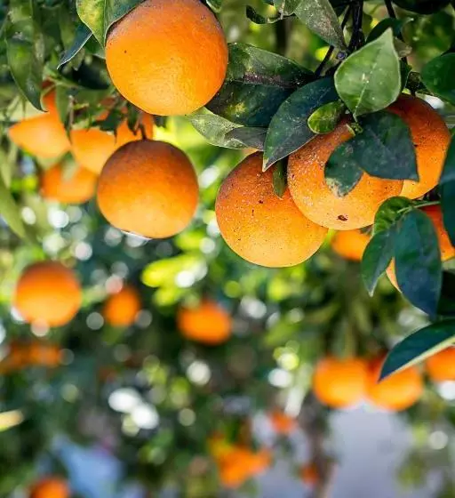 ホテル Casa La Vuelta