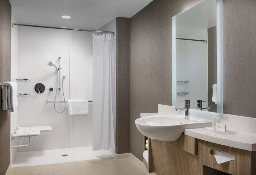 ホテル Springhill Suites By Marriott Philadelphia West Chester/exton