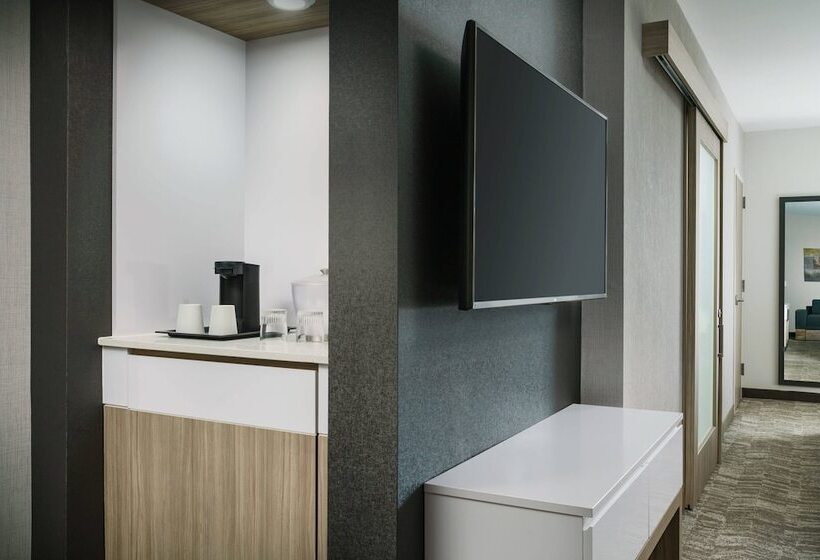 ホテル Springhill Suites By Marriott Philadelphia West Chester/exton