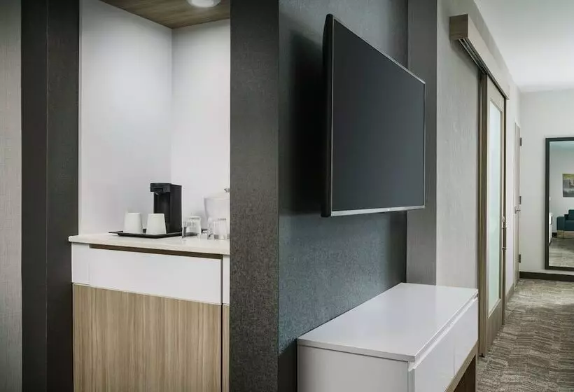 ホテル Springhill Suites By Marriott Philadelphia West Chester/exton